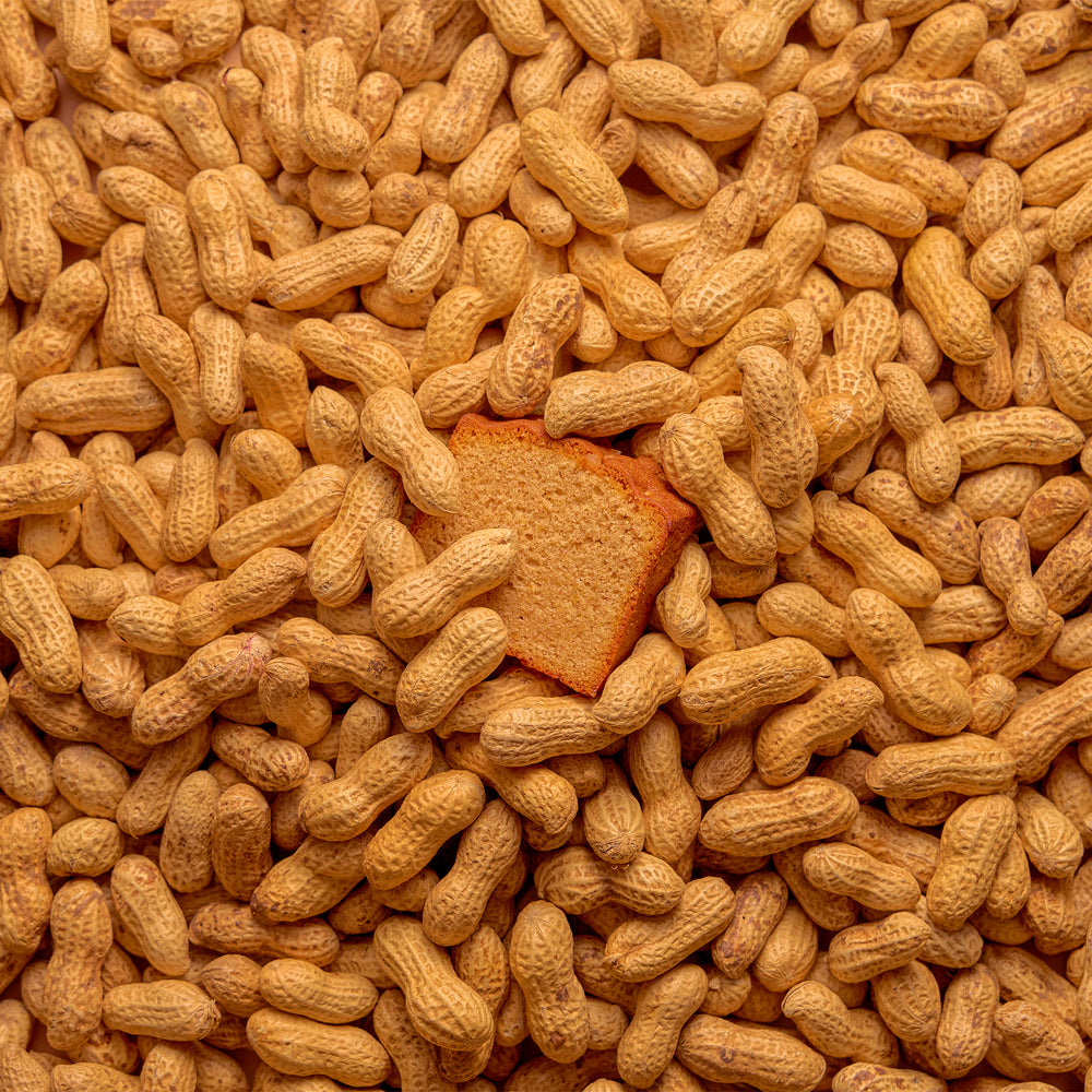 MAISON PEANUTS CHIBA