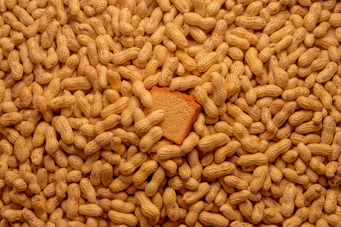 MAISON PEANUTS CHIBA