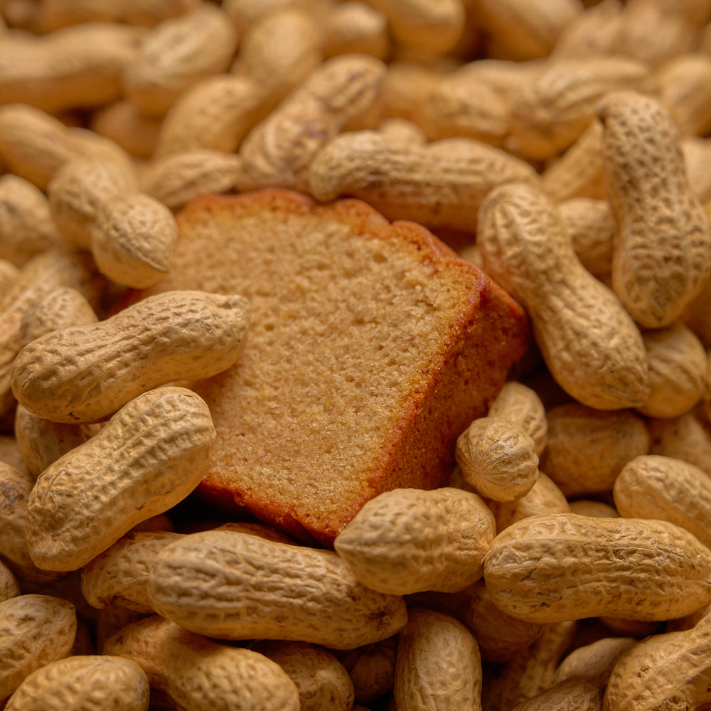 八街ピーナッツバターケーキ（単品）