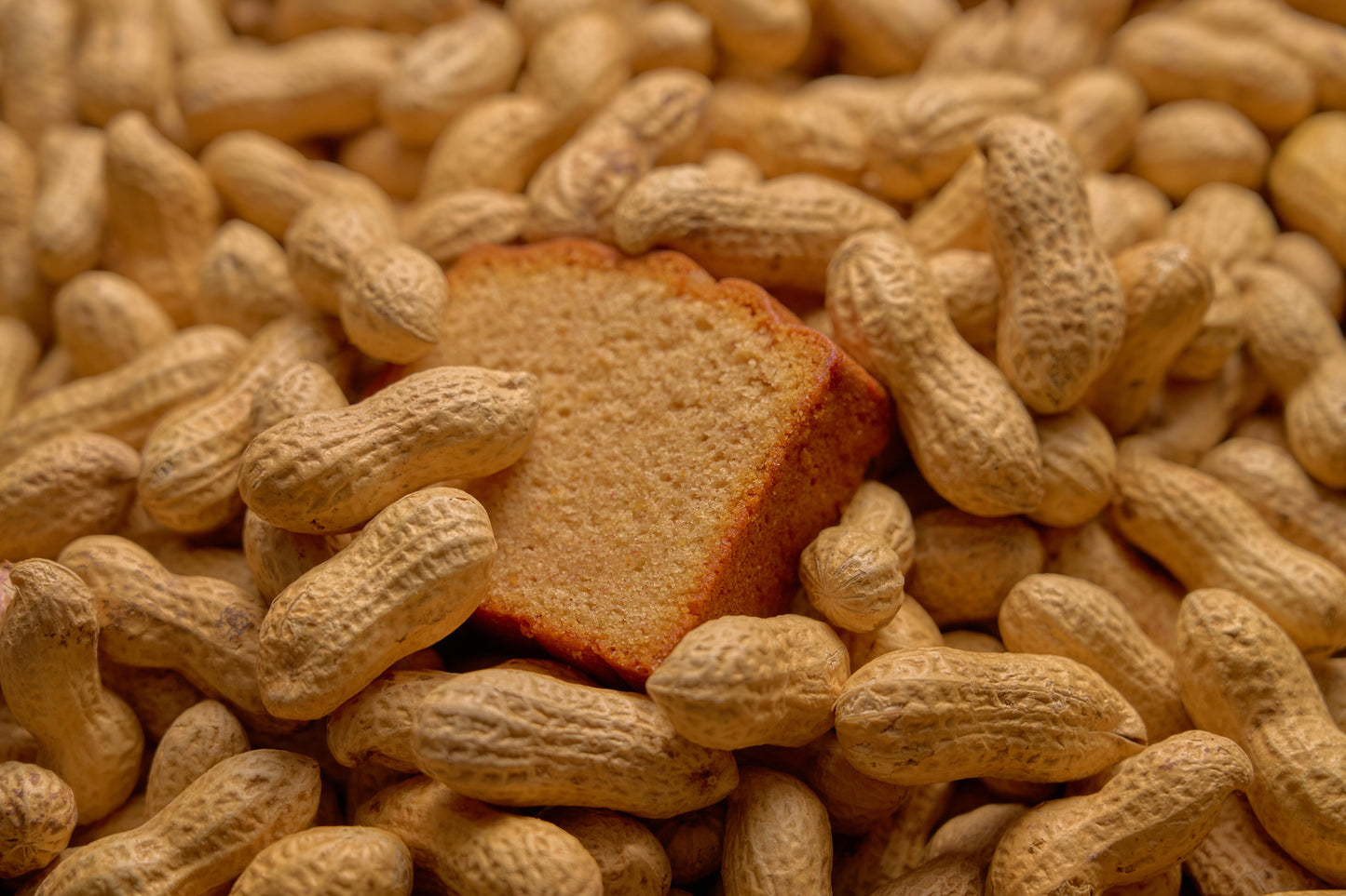 八街ピーナッツバターケーキ（単品）