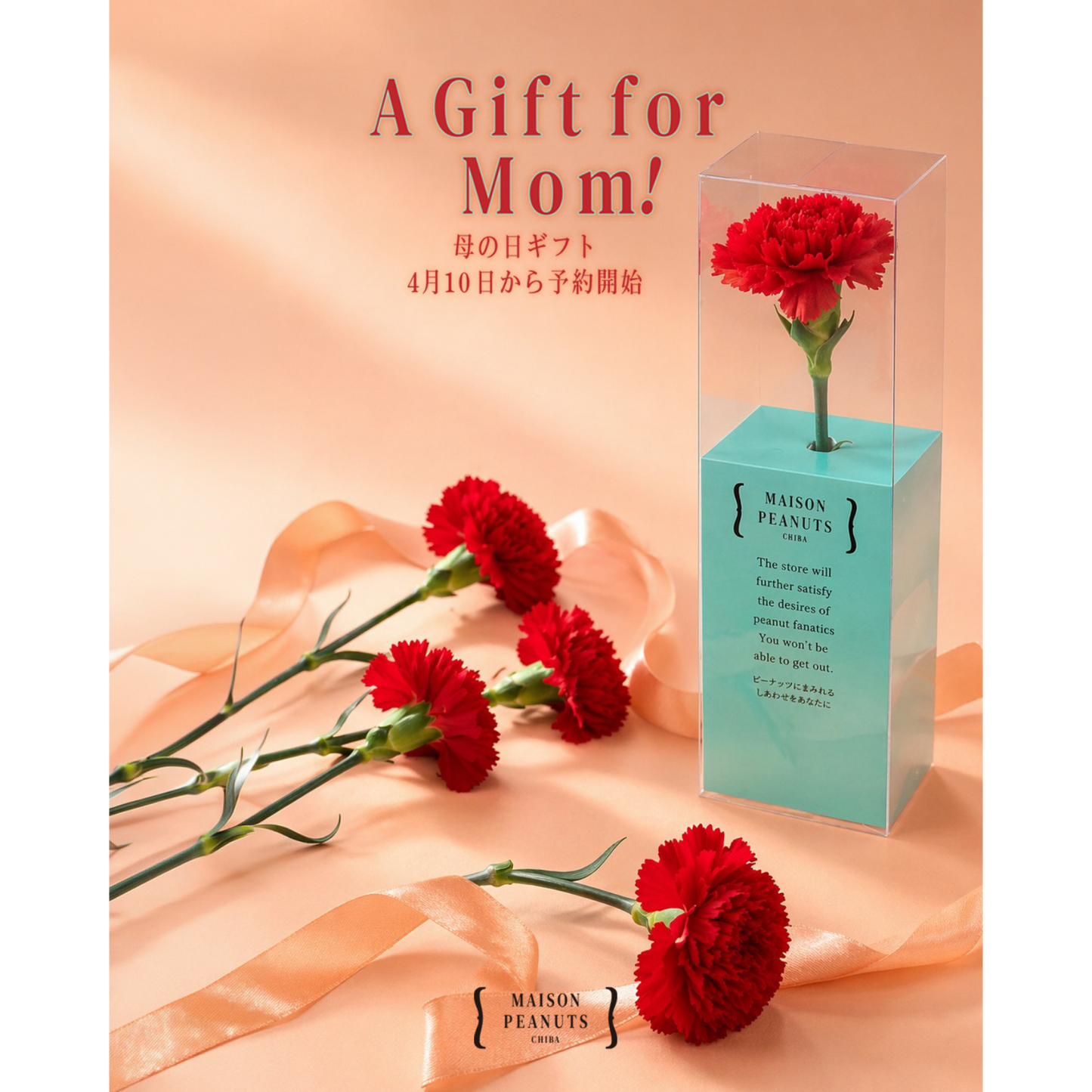 "母の日ギフト"(カーネーション一輪セット）\数量限定/